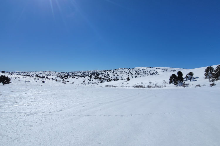 Hermel To Ouyoune Orgosh