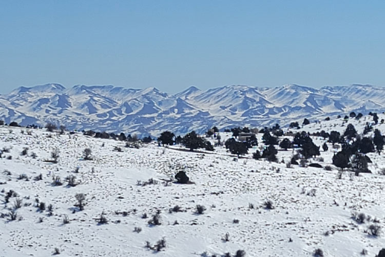 Hermel To Ouyoune Orgosh
