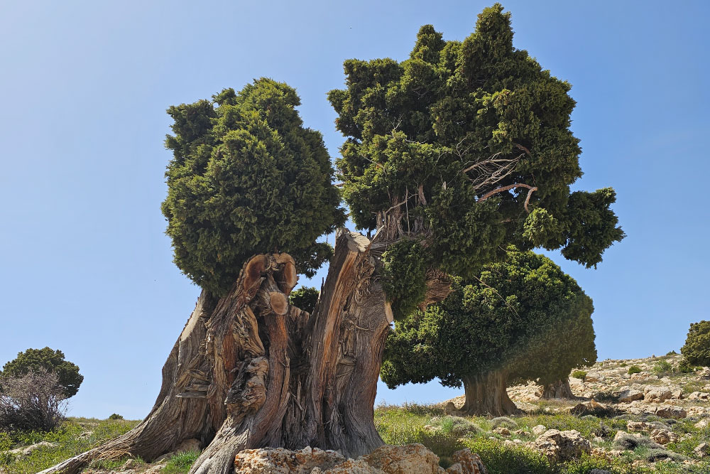 Hermel To Kornet El Ashra