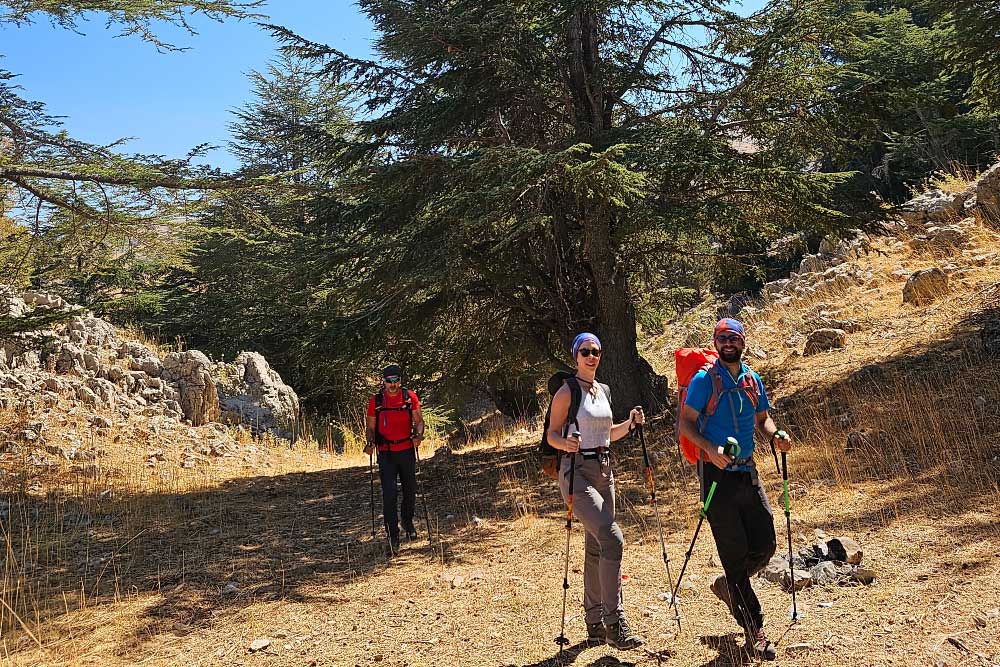 Al Elleh Forest