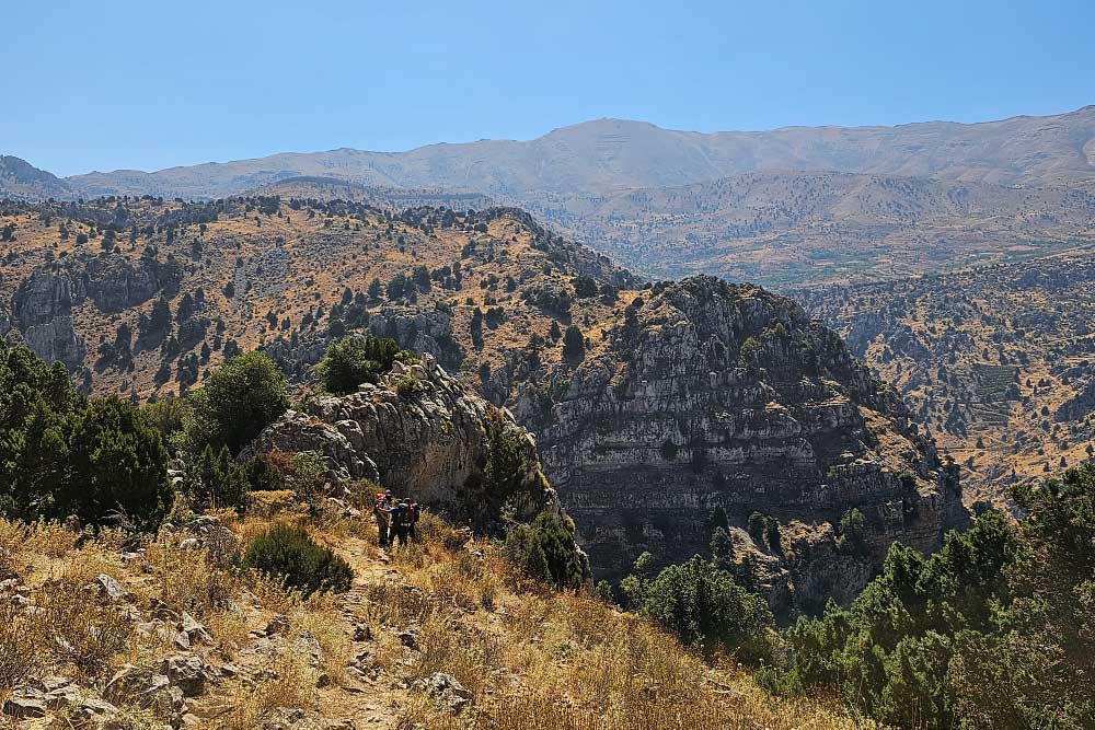 Al Elleh Forest